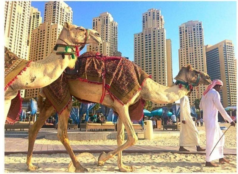 Luxury Apartments In Dubai Marina المظهر الخارجي الصورة